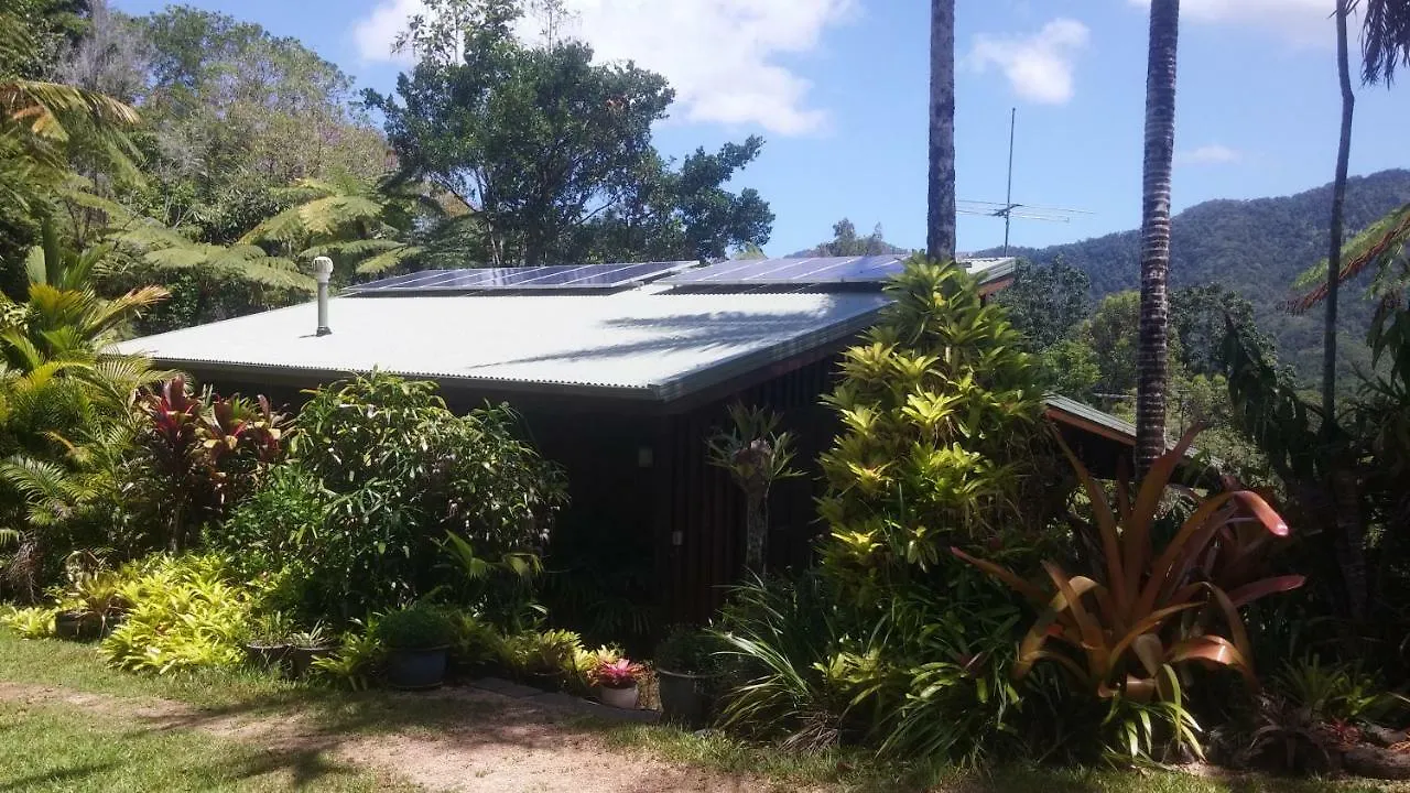 Daintree Holiday Homes - The Folly Diwan أستراليا