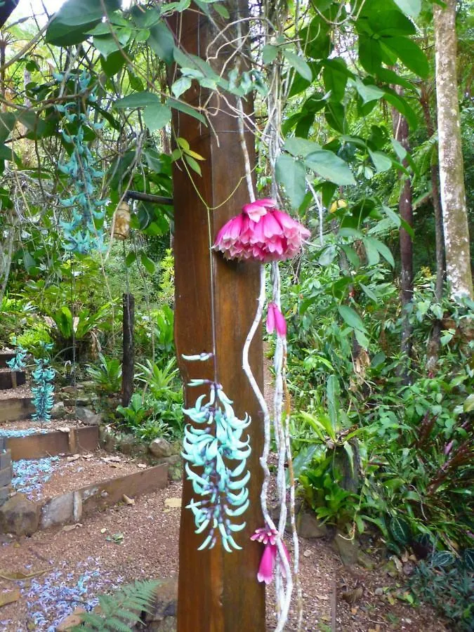 Daintree Holiday Homes - The Folly Diwan