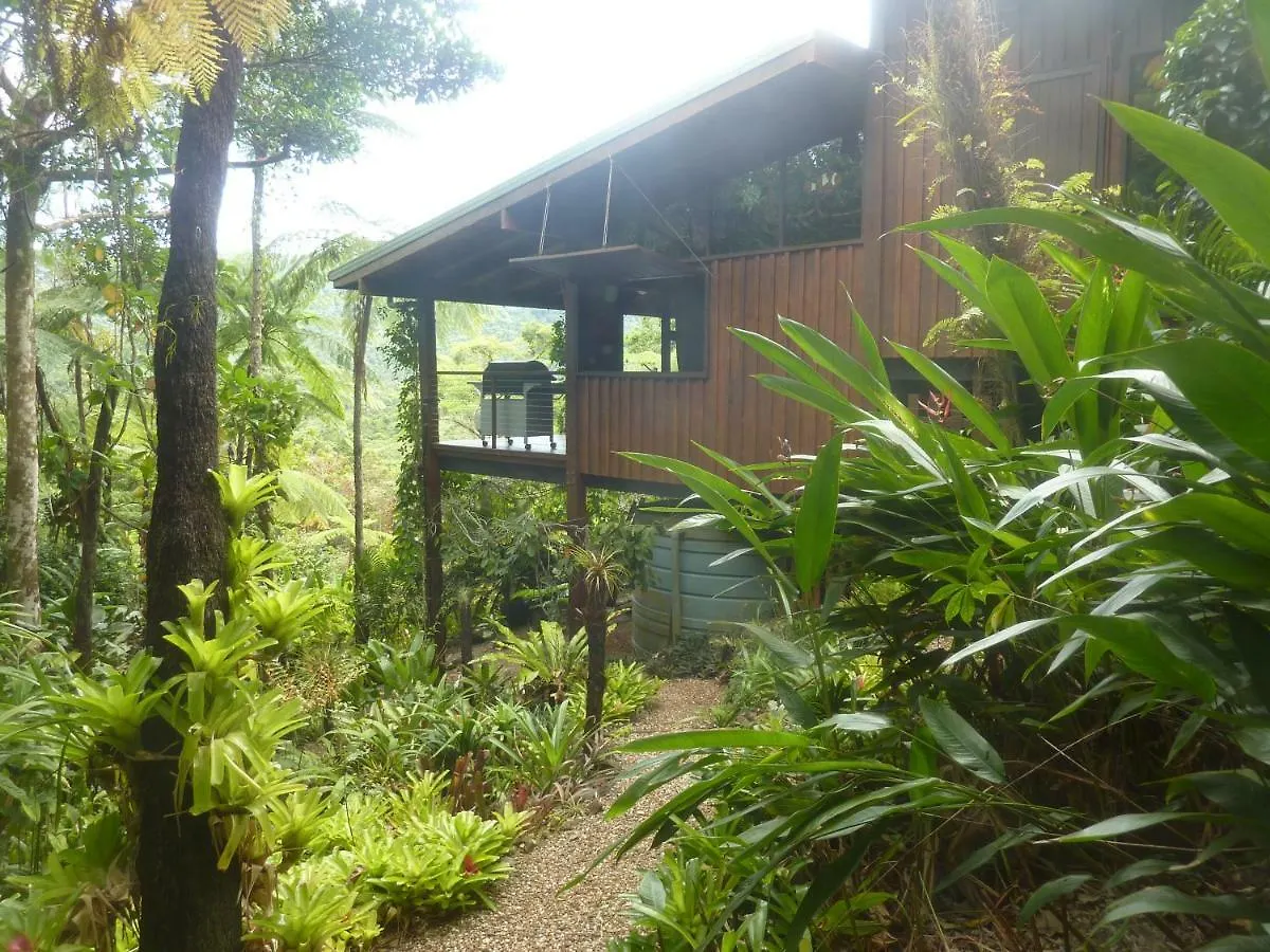 Daintree Holiday Homes - The Folly Diwan أستراليا