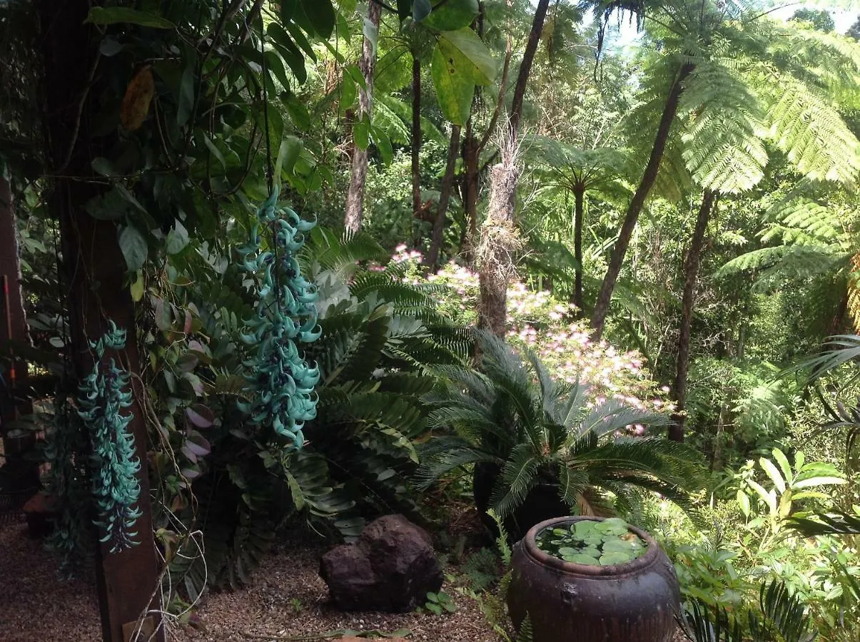 Daintree Holiday Homes - The Folly Diwan