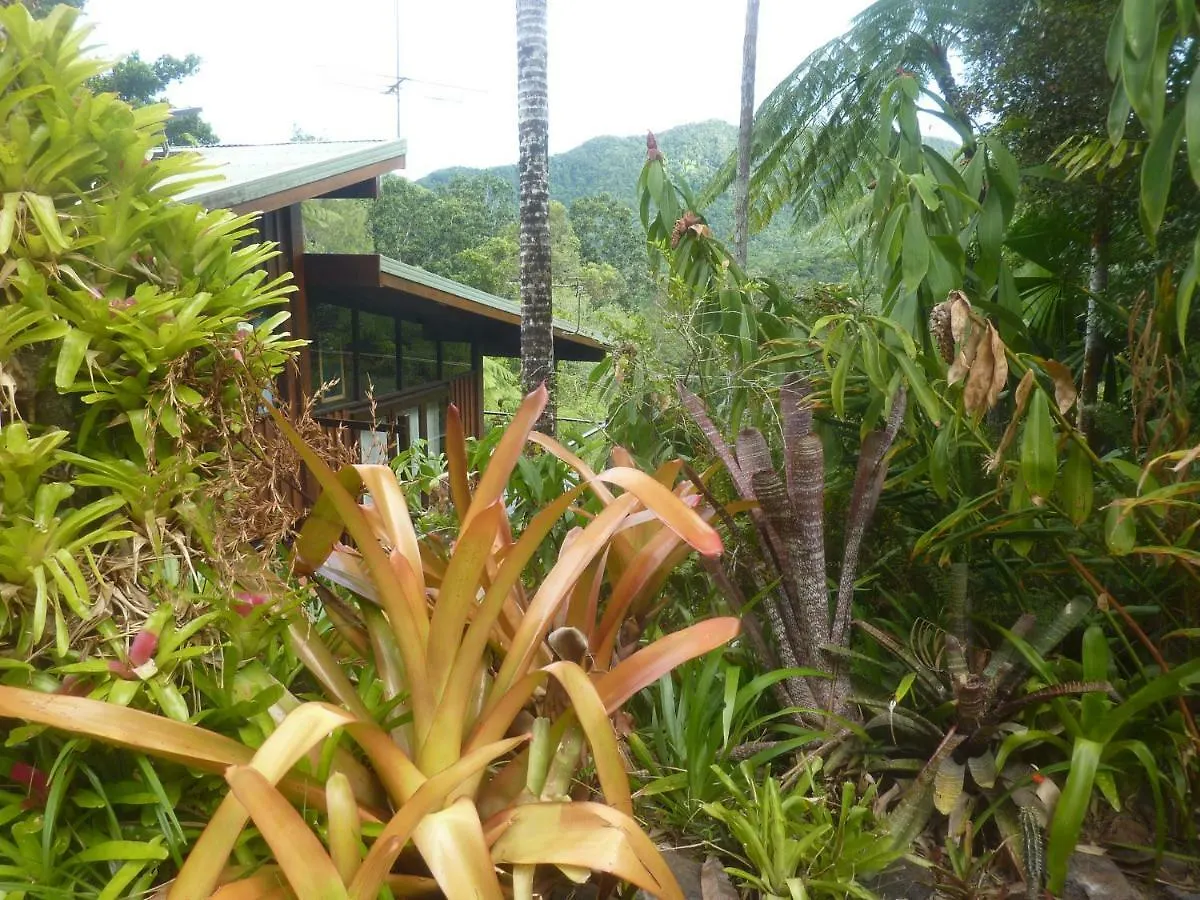 Daintree Holiday Homes - The Folly Diwan