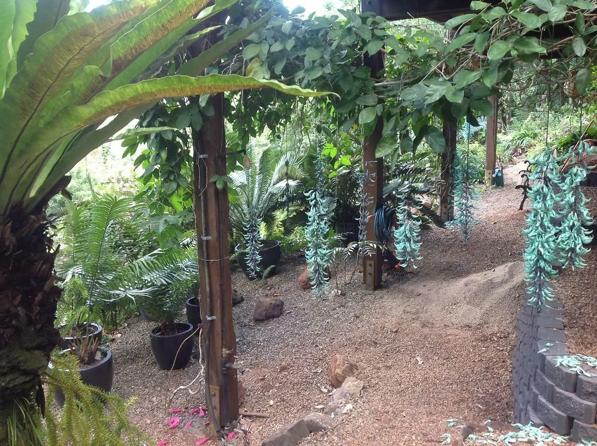 Daintree Holiday Homes - The Folly Diwan
