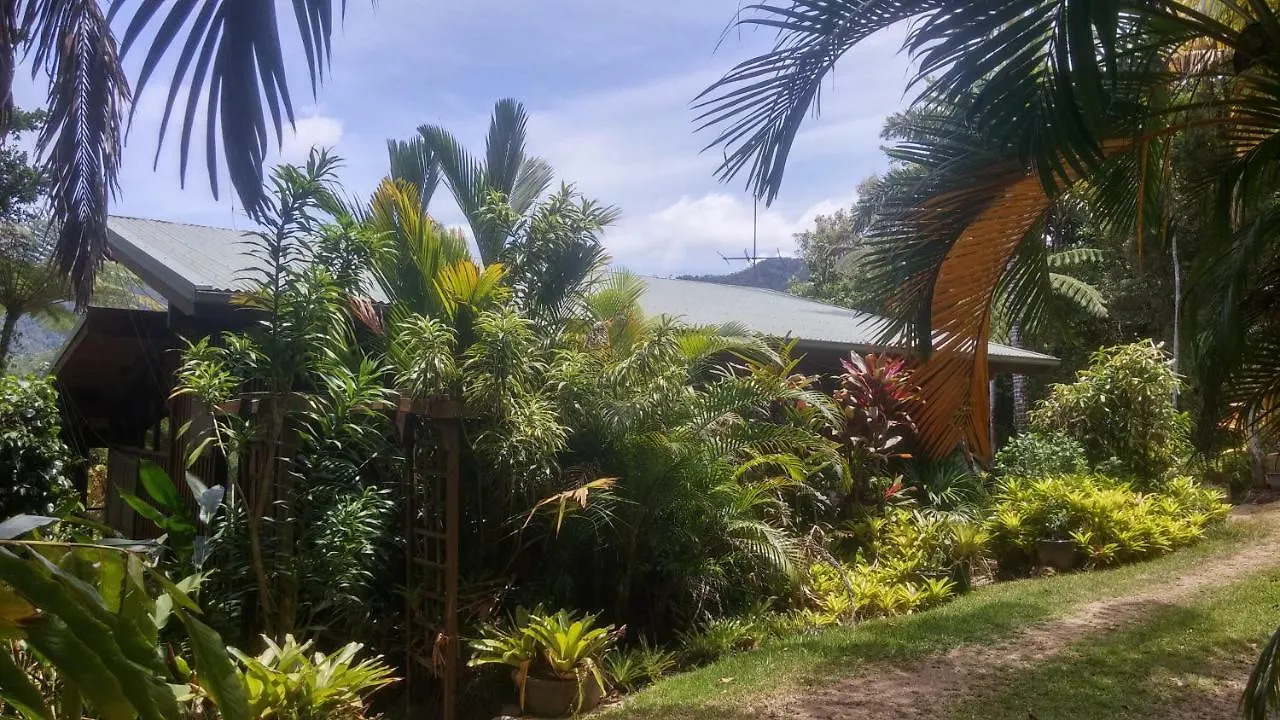 Daintree Holiday Homes - The Folly Diwan